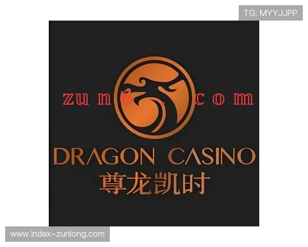 带你了解尊龙官网登录入口的功能与优势